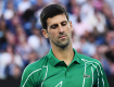 “Novak previše poštuje sport i svoju zemlju da bi uradio tako nešto…”