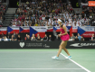 WTA Sinsinati: Sjajna Ana prošla u polufinale!
